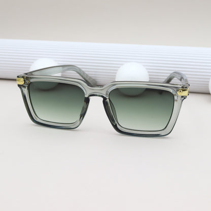 LOUIS VUITTON - 2420 Vert Transparent